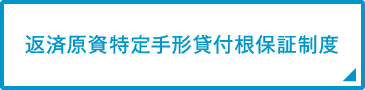 返済原資特定手形貸付根保証制度
